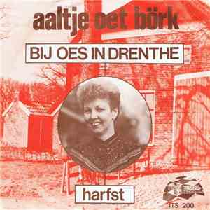 Aaltje Oet Börk - Bij Oes In Drenthe download free