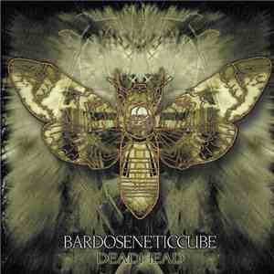Bardoseneticcube - Deadhead download free Bardoseneticcube - Deadhead download mp3 flac