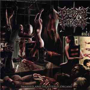 Cerebral Effusion - Smashed And Splattered Organs download free