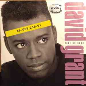 David Grant - Take Us Back download free