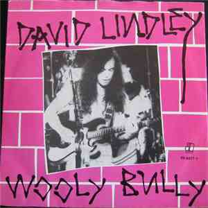 David Lindley - Wooly Bully download free
