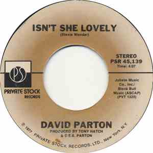 David Parton - Isn't She Lovely download mp3 flac
