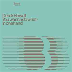 Derek Howell - You Wanna Do What / In One Hand download free