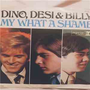 Dino, Desi & Billy - My What a Shame download mp3 flac