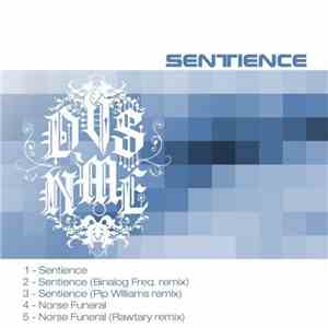 DVS NME - Sentience download free