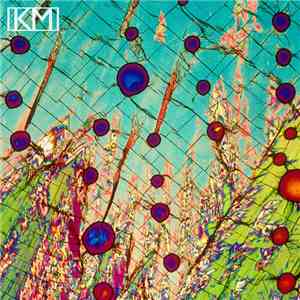 Kill Murray - Microscopic Feel download free