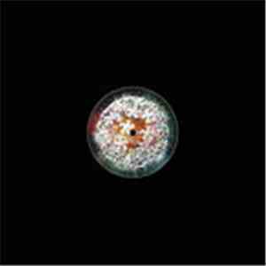 Lone Shark - Spoke Duster EP download free