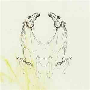 My Brightest Diamond - Tear It Down download free