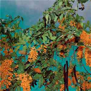 Onzo - 001 download free