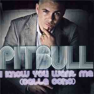 Pitbull - I Know You Want Me (Calle Ocho) download free