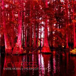 Shane Morris  & The Implicit Order - Cypress download free