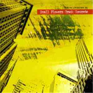 Small Flowers Crack Concrete - Build Me A Brand New Sky download free