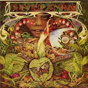 Spyro Gyra - Morning Dance download mp3 flac