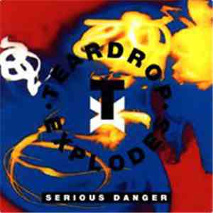 Teardrop Explodes - Serious Danger download free