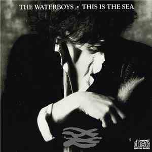 The Waterboys - This Is The Sea download free