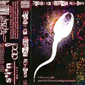 Various - Ceased, The Perfect Moments... download free