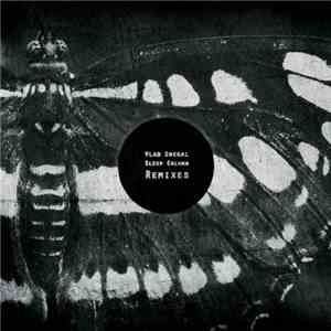 Vlad Shegal vs. Sleep Column - Sleep Column Remixes download free